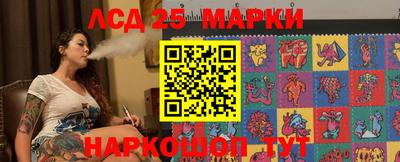 стаф Тула