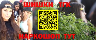 стаф Тула